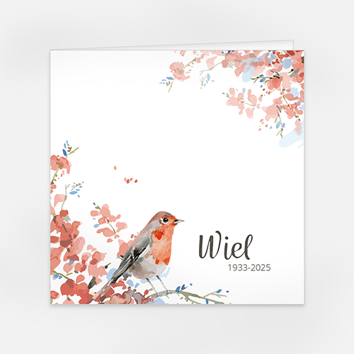  Lortye Rouw Gedachtenisprentjes Roodborst 4 kant